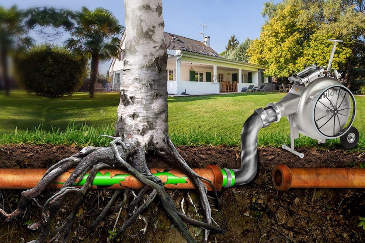 How to Remove Tree Roots from Drains: Complete Sydney Guide 1 Blocked drain Sydney