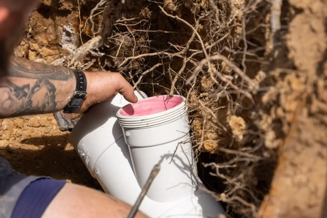 Pipe relining repair after tree root intrusion in a damaged drain